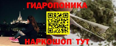 шишки Конаково